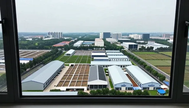 学校与医院中的新媒体代运营优势展示