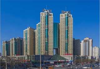 Serva胶原酶消化方案